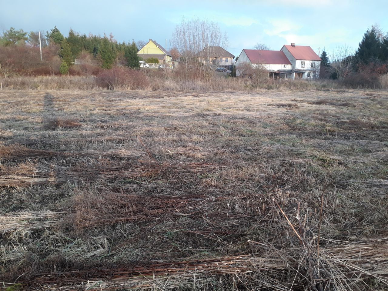 Działka rolno-budowlana Iwiny, ---. Zdjęcie 2