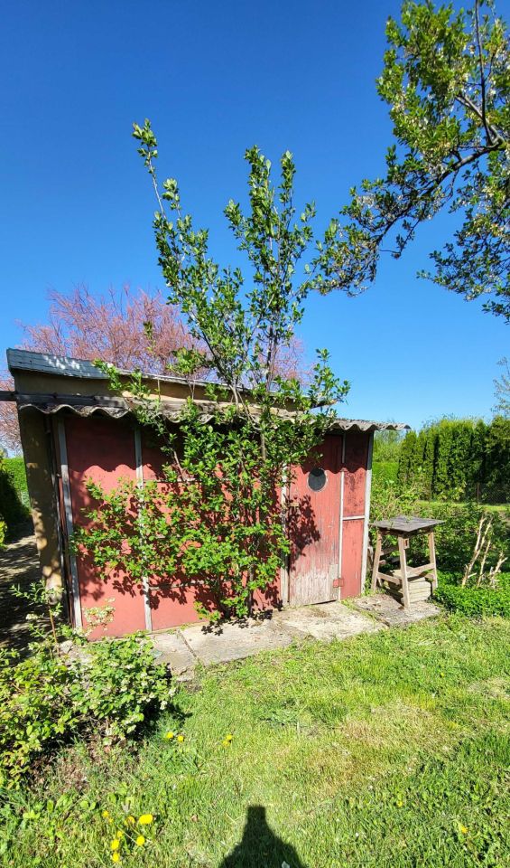 Działka rod Nowe Skalmierzyce. Zdjęcie 5