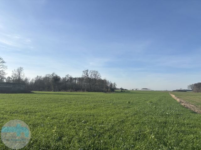 Działka siedliskowa Jaskółowo. Zdjęcie 2