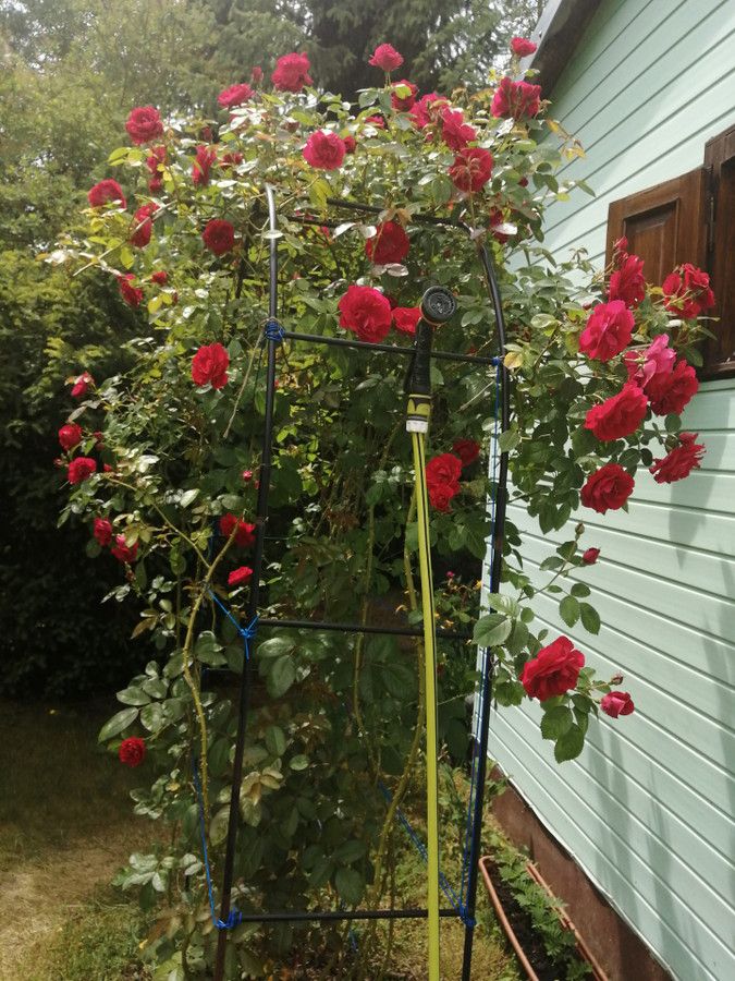 Działka rekreacyjna Czarnowiec. Zdjęcie 3