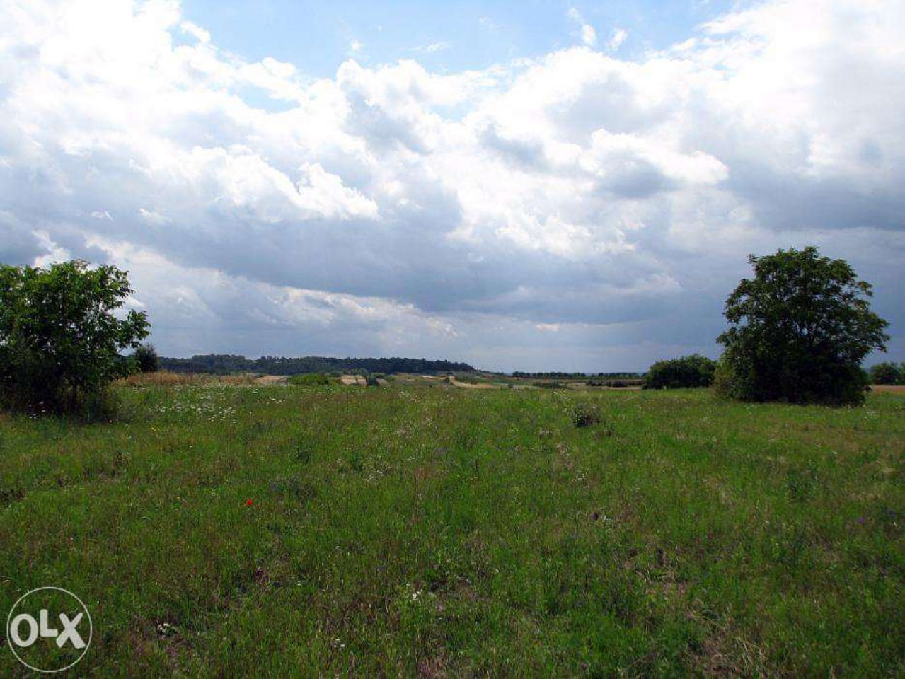 Działka budowlana Kazimierz Dolny. Zdjęcie 3
