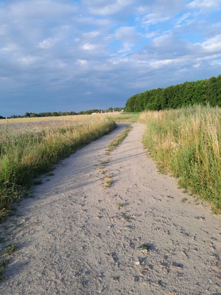 Działka rolno-budowlana Rzeczyca. Zdjęcie 4