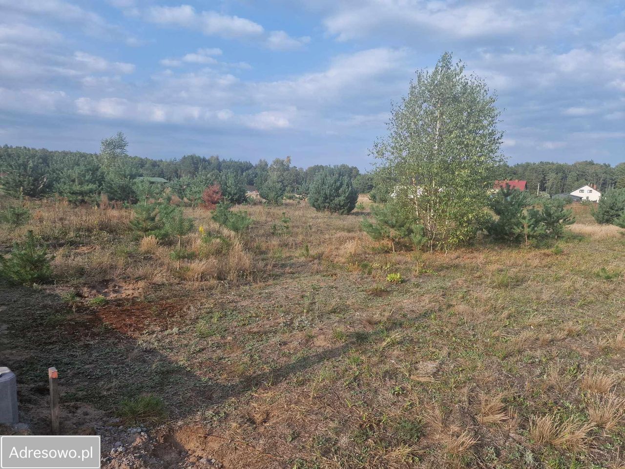 Działka budowlana Krzyżówka, ul. Zarzeczna. Zdjęcie 5