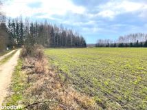 Działka inwestycyjna Harsz. Zdjęcie 4