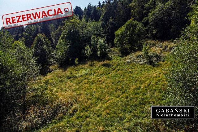 Działka budowlana Słona. Zdjęcie 15