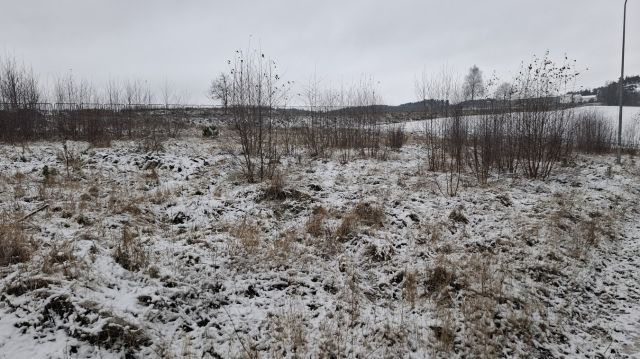 Działka budowlana Stężyca. Zdjęcie 1