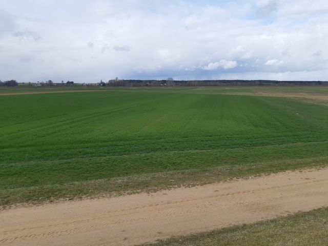 Działka rolna Wólka Nadbużna Groble. Zdjęcie 1