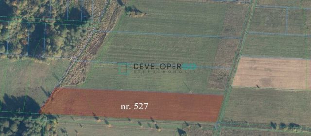 dom wolnostojący, 2 pokoje Białowieża, ul. Polna. Zdjęcie 9