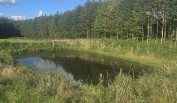 Działka siedliskowa Różaniec