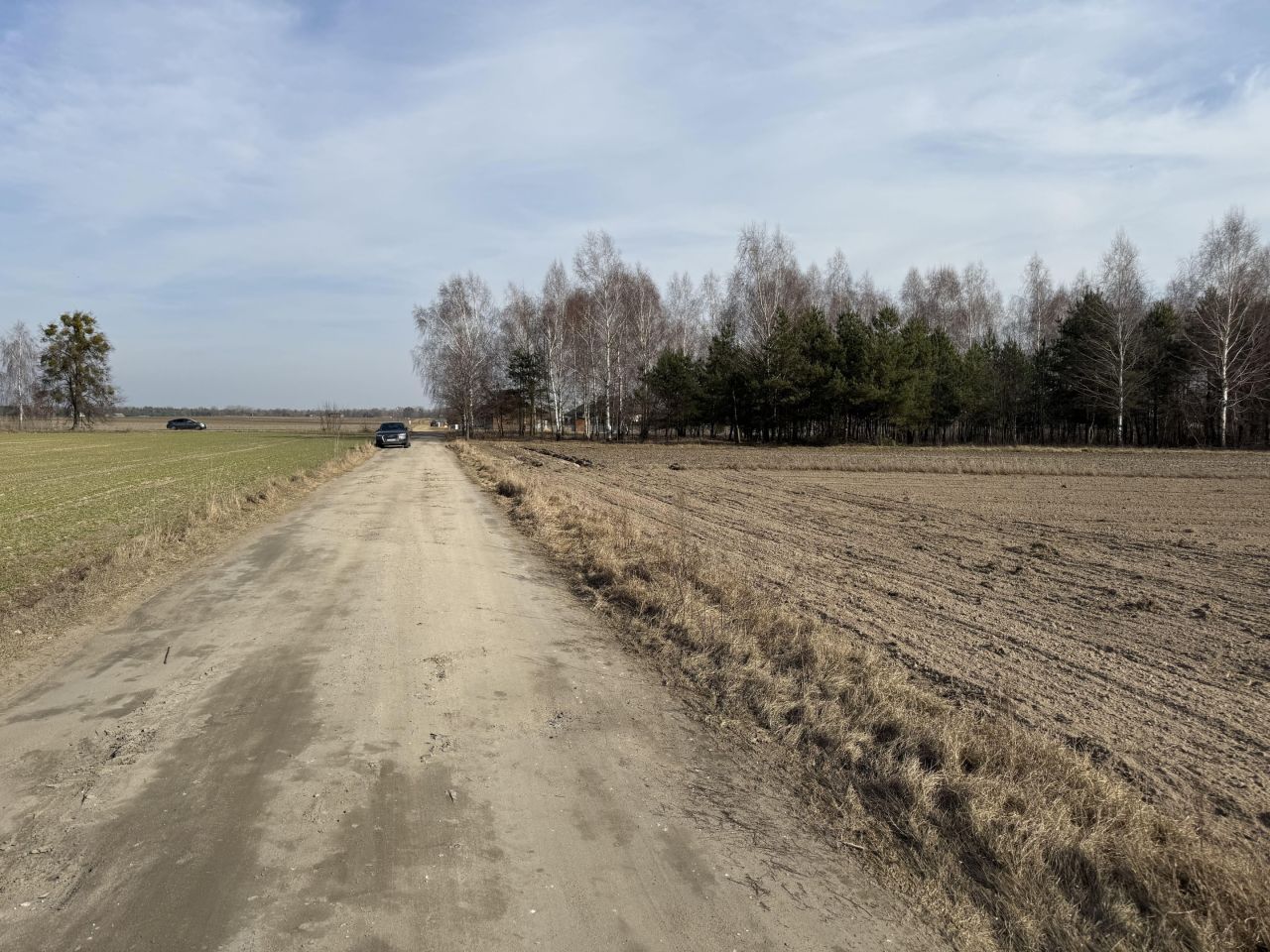 Działka budowlana Suszno, ul. Modrzewiowa. Zdjęcie 5
