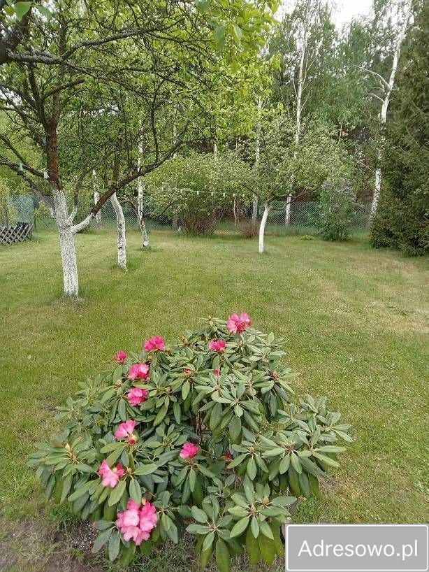 dom wolnostojący, 3 pokoje Tabor. Zdjęcie 2