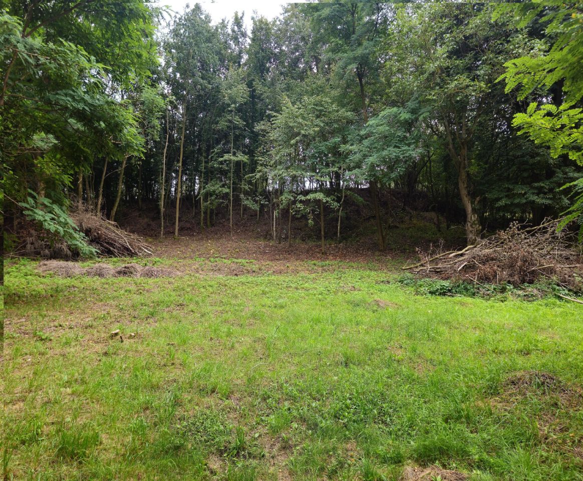 Działka rolno-budowlana Zgoda. Zdjęcie 6