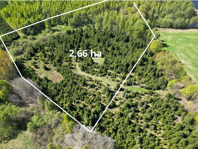 Działka rolna Kabikiejmy. Zdjęcie 1