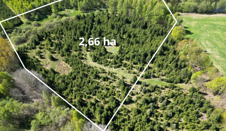 Działka rolna Kabikiejmy