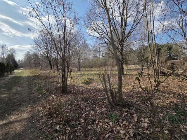 Działka budowlana Międzyborów. Zdjęcie 3