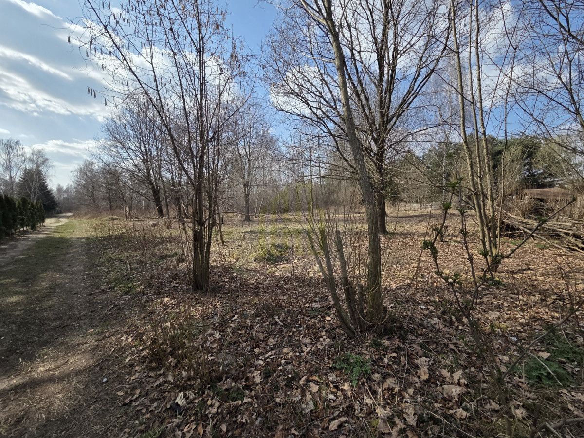 Działka budowlana Międzyborów. Zdjęcie 3