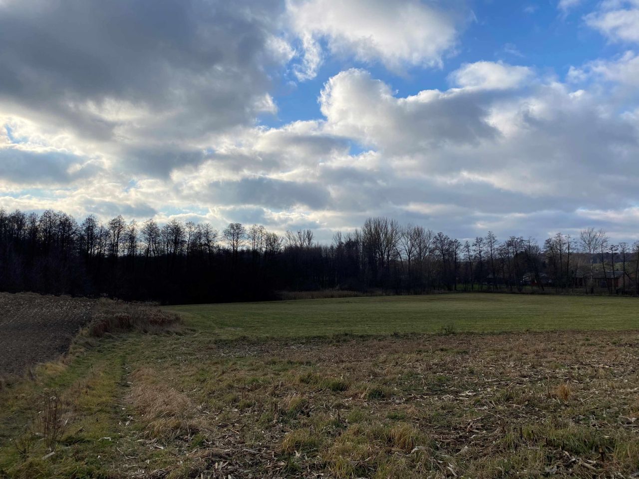 Działka rolna Tuszów. Zdjęcie 5