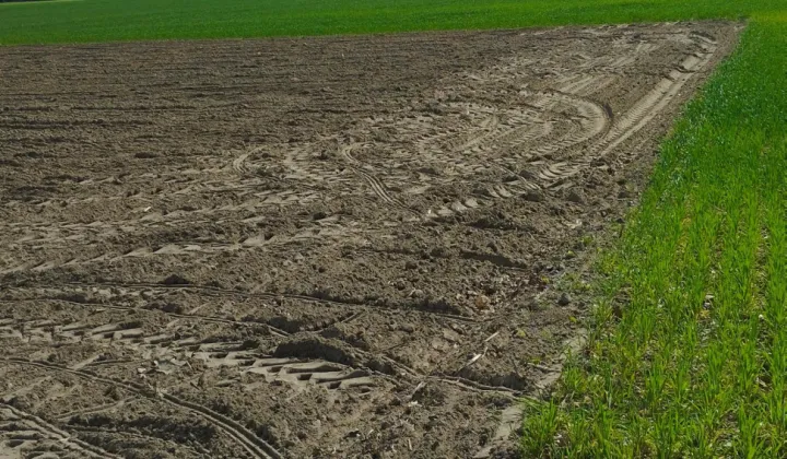 Działka rolna Brenno, ul. Leszczyńska