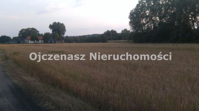 Działka rolna Chrystkowo. Zdjęcie 3