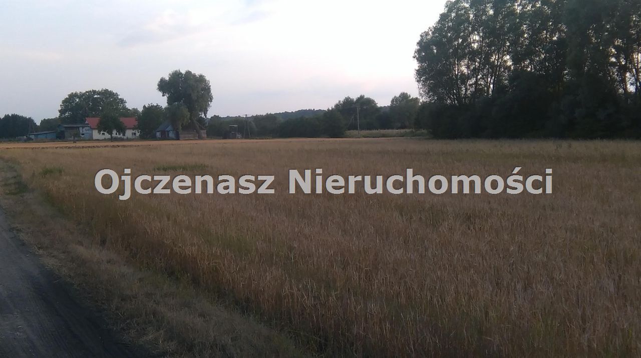 Działka rolna Chrystkowo. Zdjęcie 3