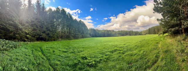 Działka rolna Nitki. Zdjęcie 1