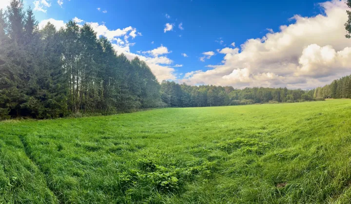 Działka rolna Nitki