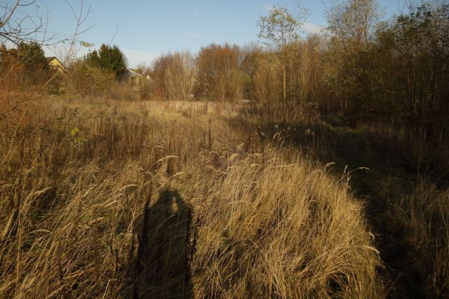 Działka budowlana Czerwonak, ul. Leśna. Zdjęcie 5