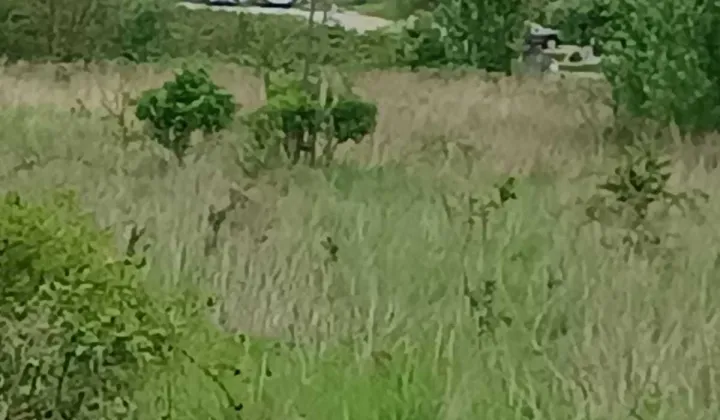 Działka budowlana Sobótka, ul. Szewska