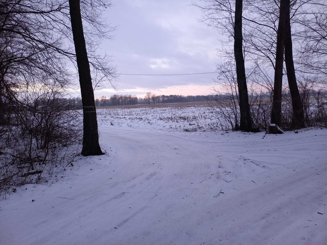 Działka budowlana Jaszczółtowo. Zdjęcie 5