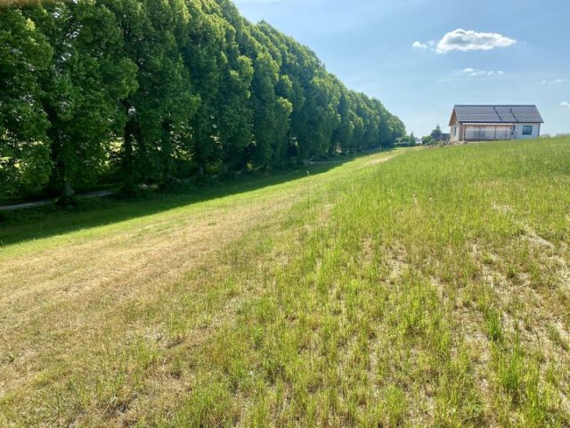 Działka budowlana Łapino Kartuskie. Zdjęcie 4