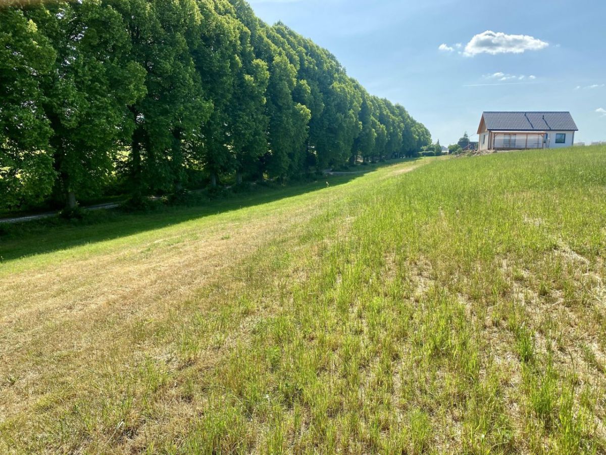 Działka budowlana Łapino Kartuskie. Zdjęcie 4