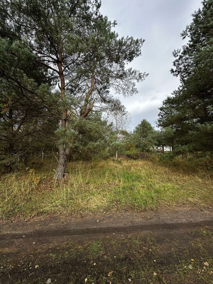 Działka budowlana Stare Wierzchowo. Zdjęcie 7