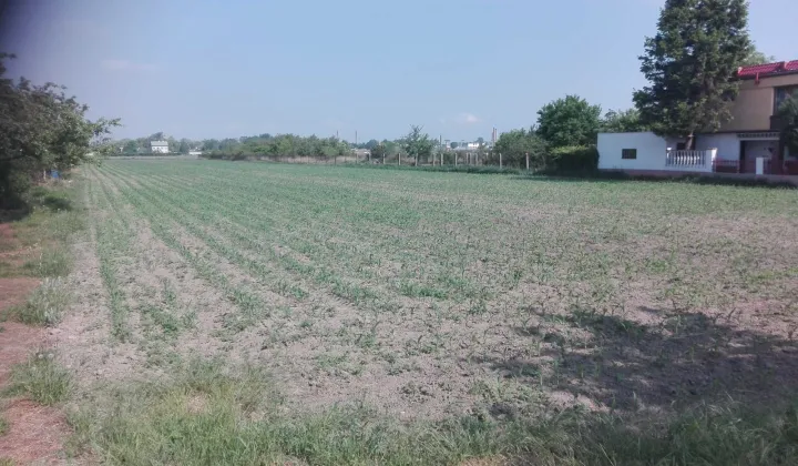 Działka rolna Kalisz, ul. Owsiana