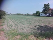 Działka rolna Kalisz, ul. Owsiana