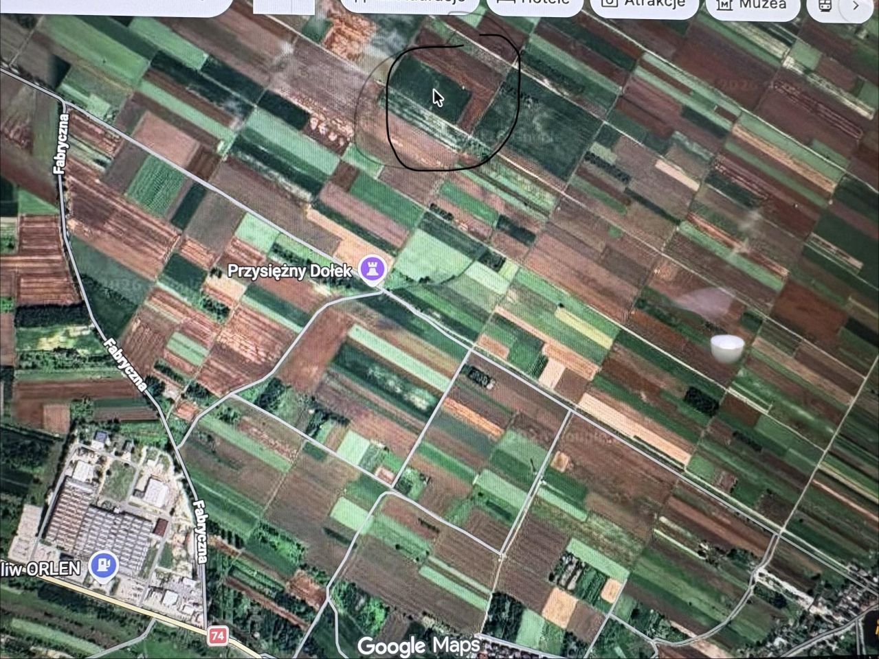 Działka rolna Biała Pierwsza, Biała Piersza. Zdjęcie 3