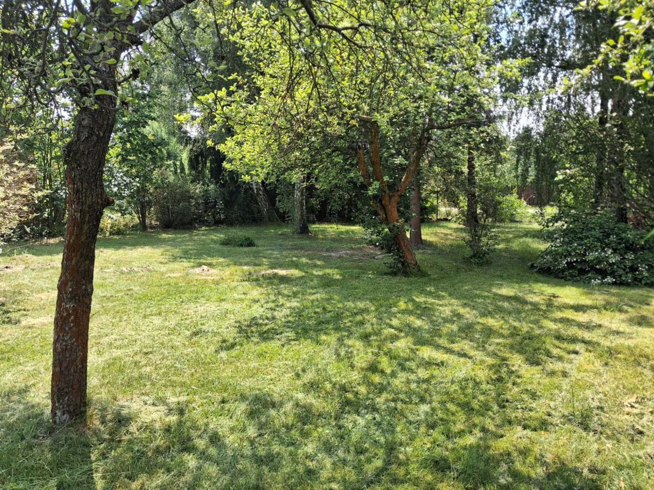 Działka budowlana Justynów, ul. Wczasowa. Zdjęcie 6