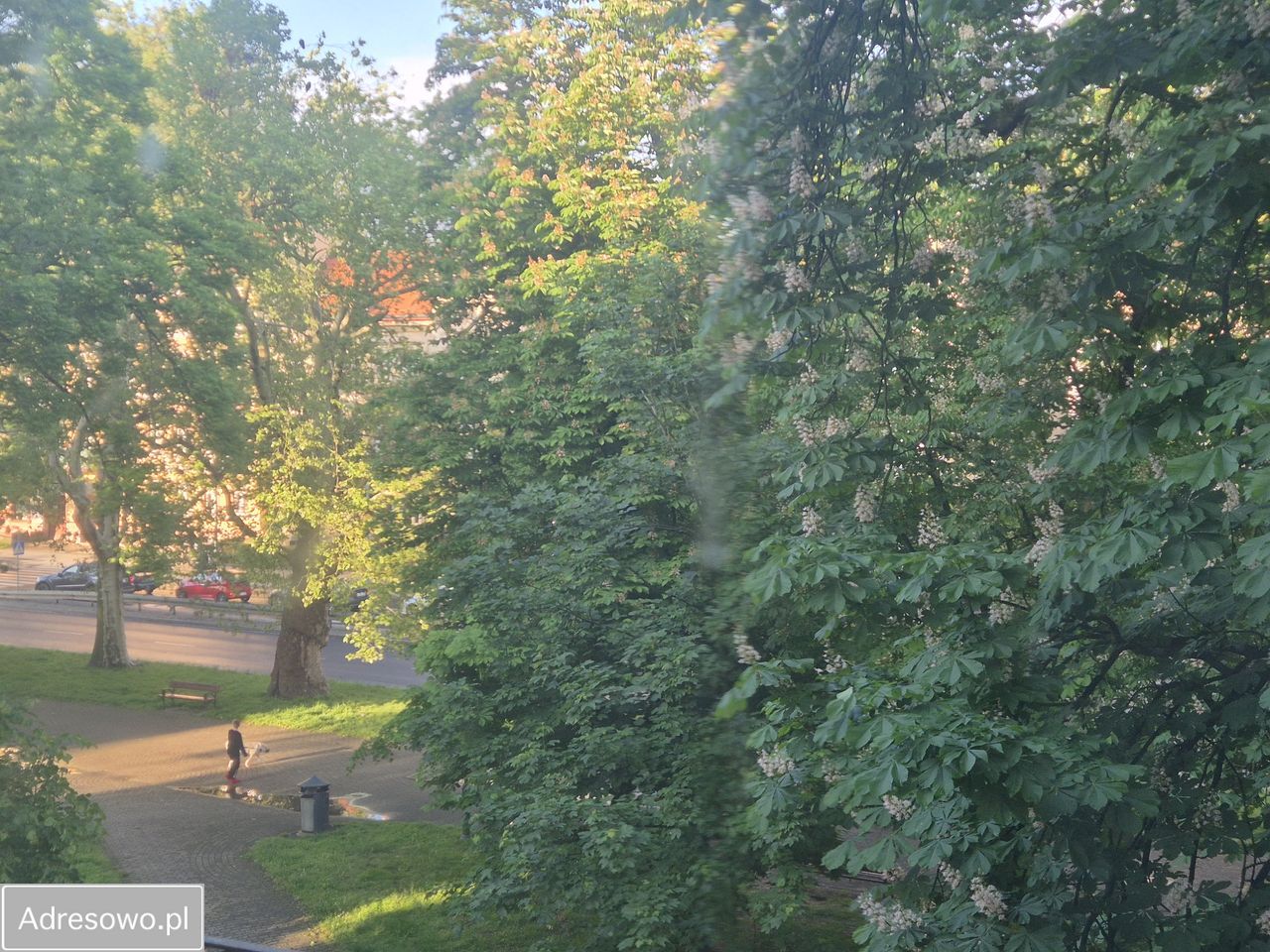 Mieszkanie 3-pokojowe Legnica, ul. Parkowa. Zdjęcie 2