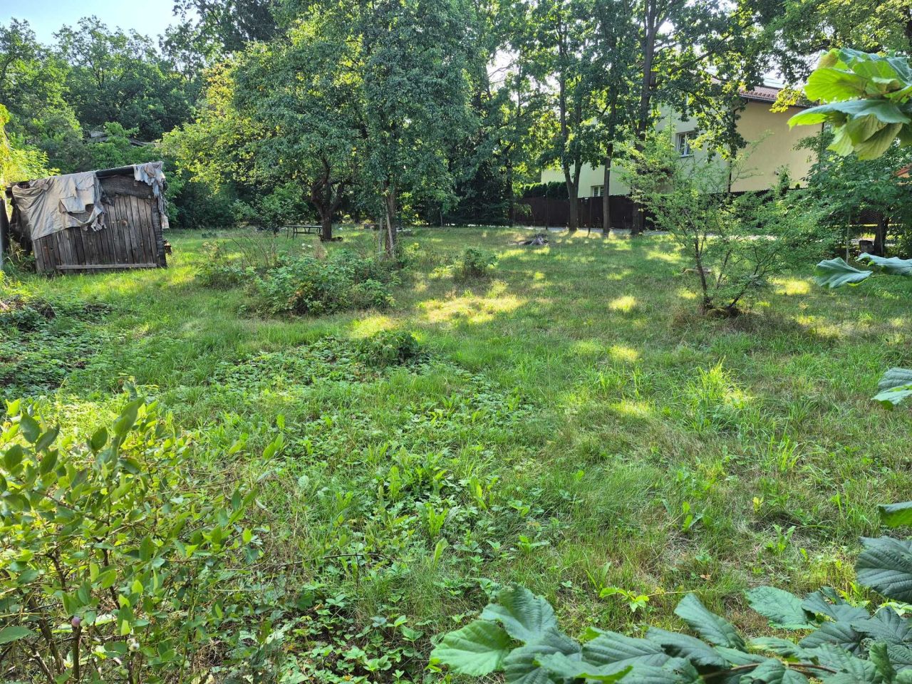 Działka inwestycyjna Zielonka