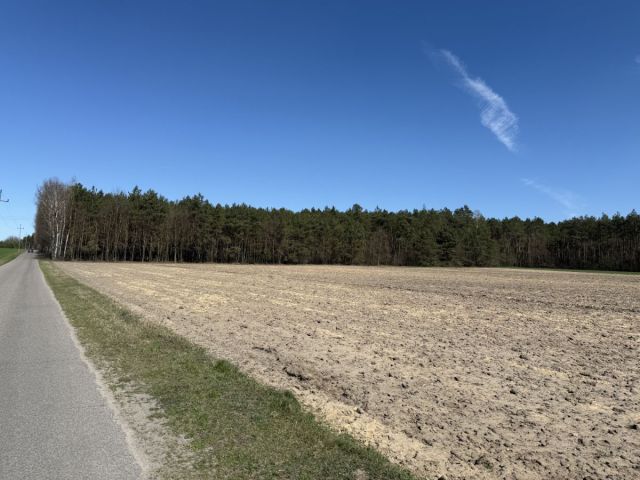 Działka budowlana Skórka. Zdjęcie 5