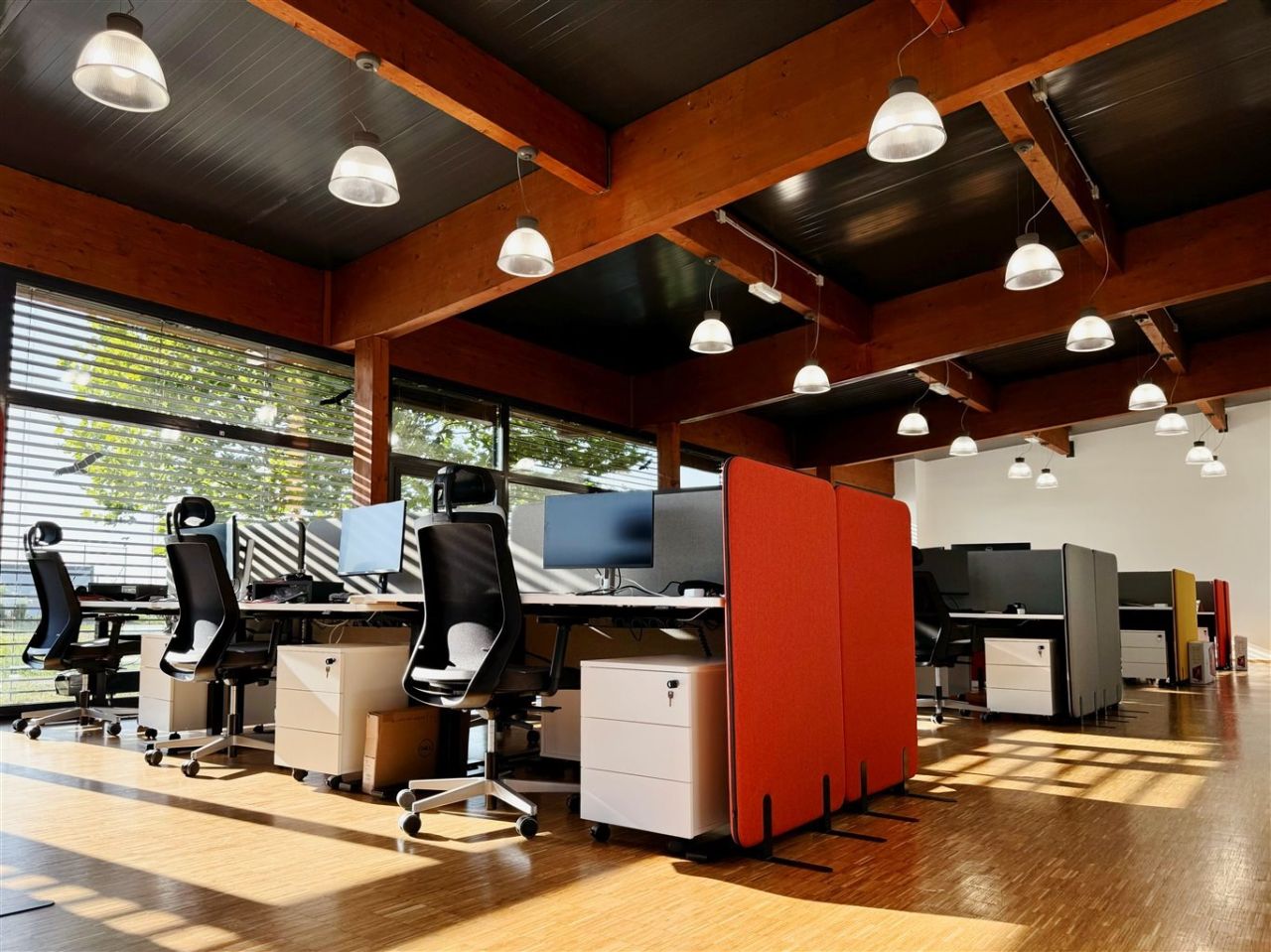 Biuro Żernica. Zdjęcie 4