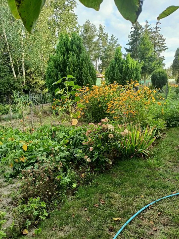 Działka rod Ciechanów, ul. Gostkowska. Zdjęcie 7