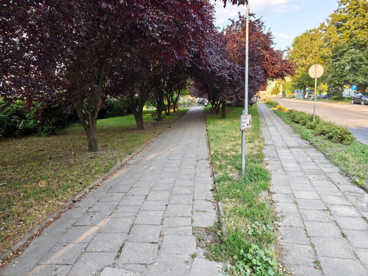 Mieszkanie 2-pokojowe Września Centrum, ul. Stefana Batorego. Zdjęcie 15