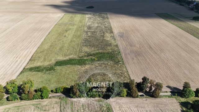 Działka rolna Rutwica. Zdjęcie 11