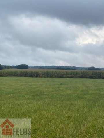 Działka inwestycyjna Rybna, ul. Storczykowa. Zdjęcie 3