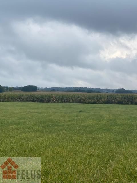 Działka inwestycyjna Rybna, ul. Storczykowa. Zdjęcie 3