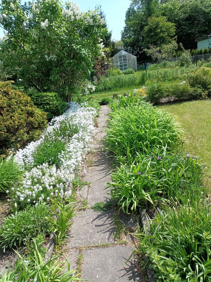 Działka rod Łódź Górna. Zdjęcie 2