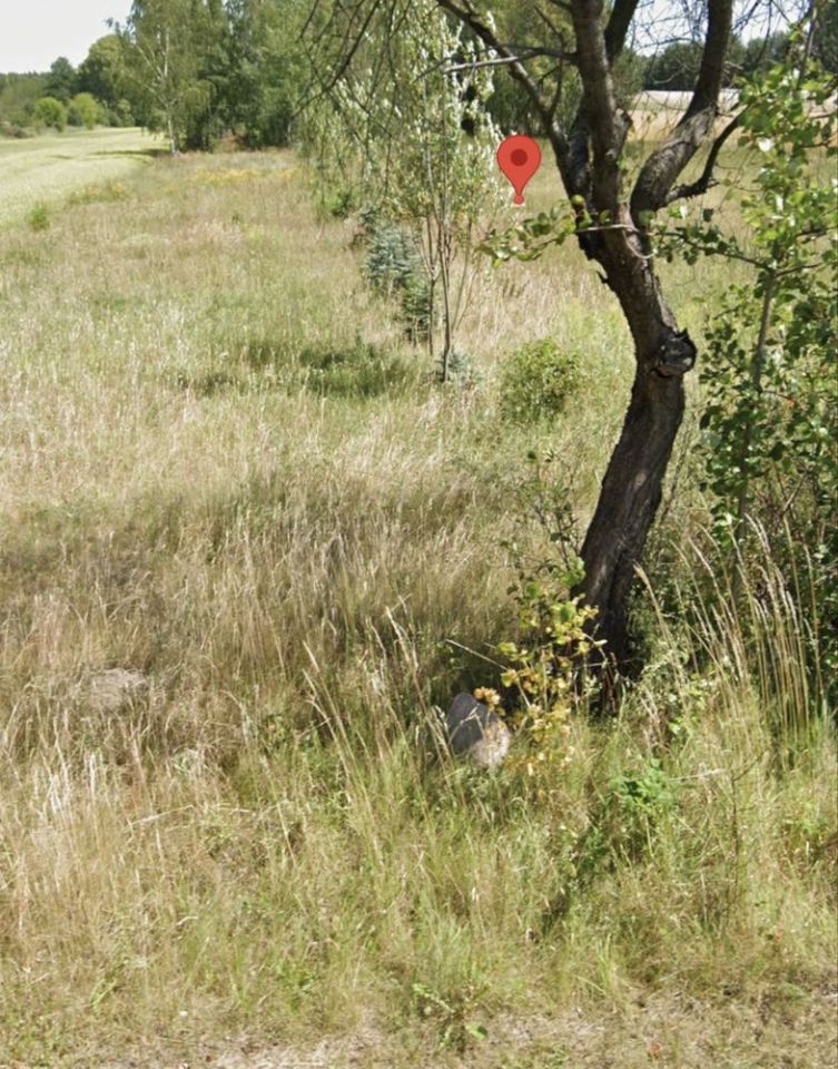 Działka rolno-budowlana Odrzywół. Zdjęcie 1