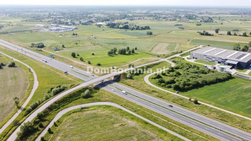 Działka inwestycyjna Krzeczów. Zdjęcie 14