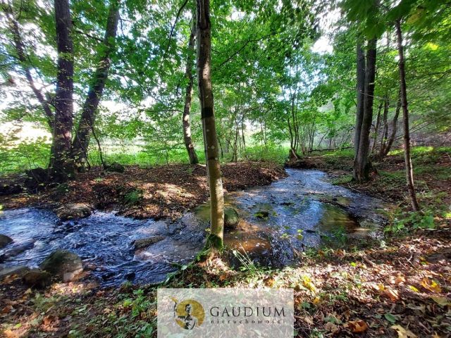 Działka Kobysewo, ul. Klasztorna. Zdjęcie 14