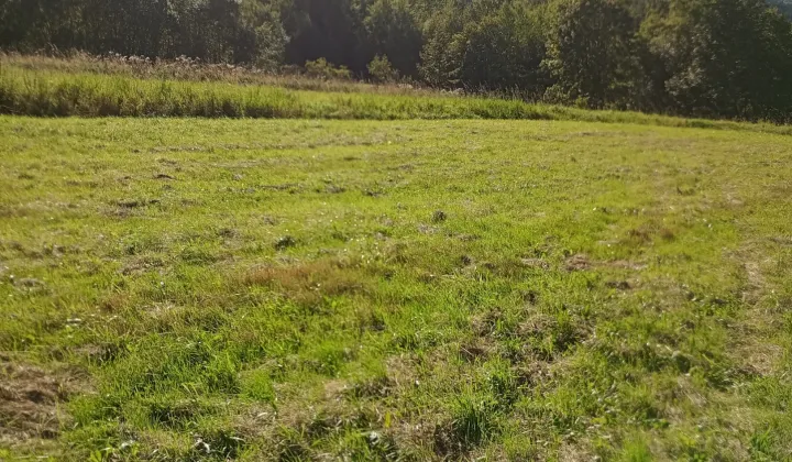 Działka budowlana Gruszowiec Do Jakubca